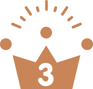 3